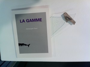« Gaming », acrylique sur verre, assemblage avec le livre d’artiste de Christophe Viart « La Gamme », co-éditions incertain Sens, éditions Théo, 2005, divers éléments, ombre projetée, 2011